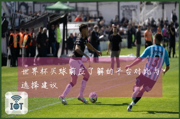 世界杯买球前应了解的平台对比与选择建议