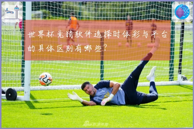 世界杯竞猜软件选择时体彩与平台的具体区别有哪些？