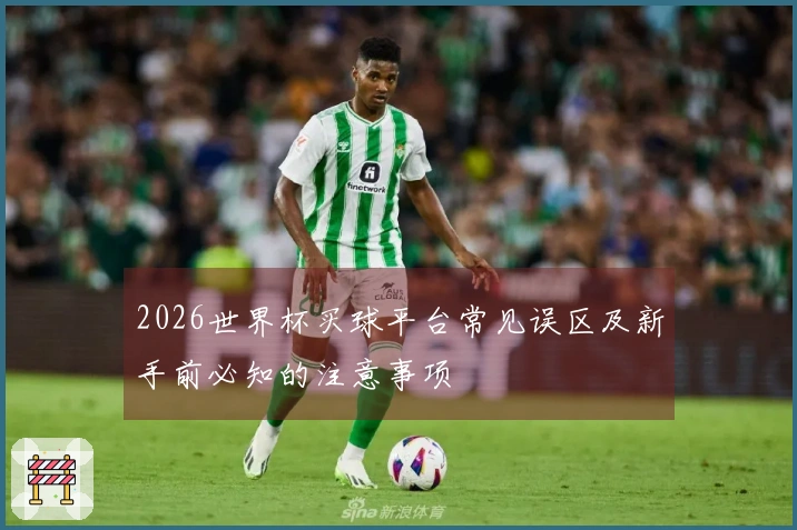 2026世界杯买球平台常见误区及新手前必知的注意事项