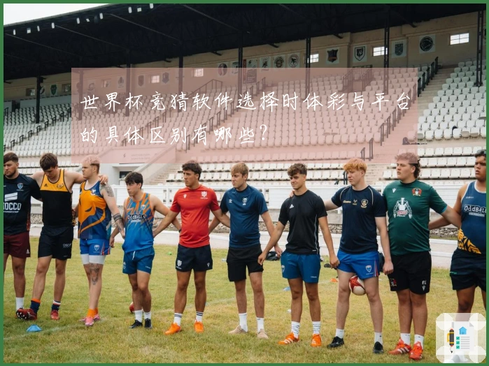 世界杯竞猜软件选择时体彩与平台的具体区别有哪些？