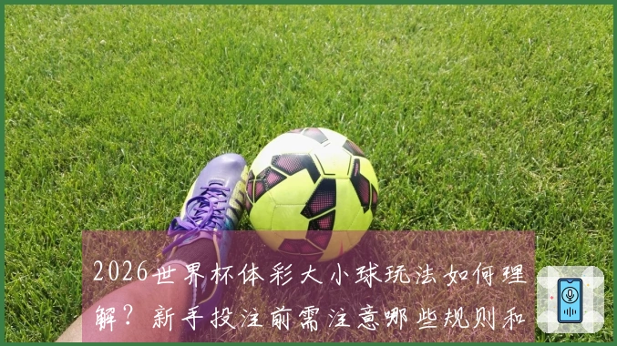 2026世界杯体彩大小球玩法如何理解？新手投注前需注意哪些规则和细节